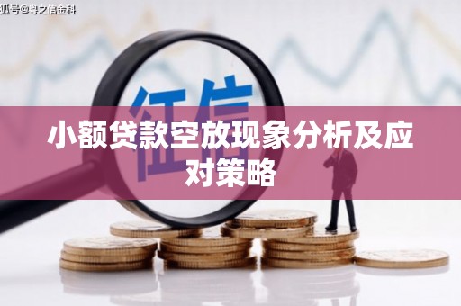 吴桥小额贷款空放现象分析及应对策略