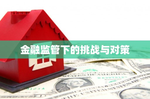 姚安金融监管下的挑战与对策
