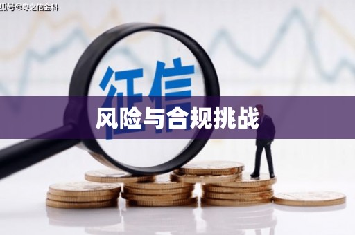 姚安风险与合规挑战