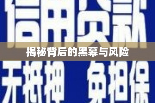 兴宾揭秘背后的黑幕与风险
