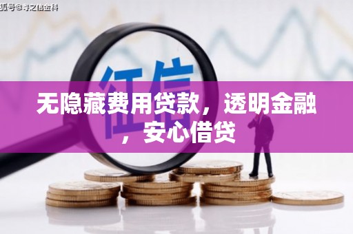 尼勒克无隐藏费用贷款，透明金融，安心借贷