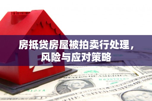 仁化房抵贷房屋被拍卖行处理，风险与应对策略